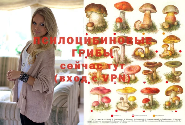 меф Липки