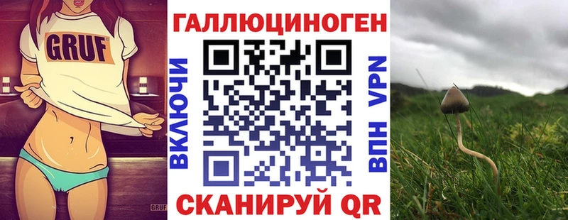 Псилоцибиновые грибы Cubensis  Купить где  Кондрово 